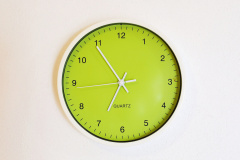 IMGA8299t